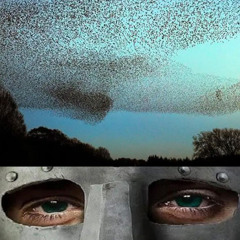 plastic hands and eyes of glass
