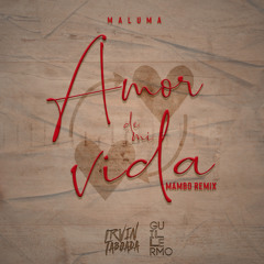Maluma x IrvinTaboada x Guillermo - AMDV (Mambo Remix)