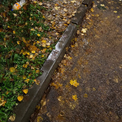 next prod jasey + suite