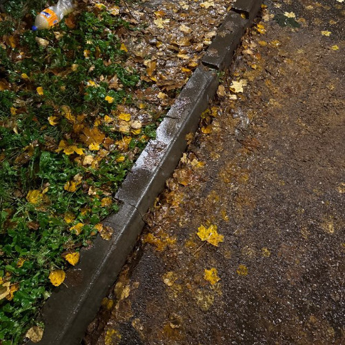 next prod jasey + suite