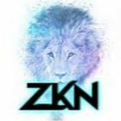 ZKN - Epic Origin
