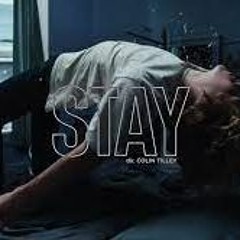 Stay - The Kid Larol x Justin Bieber ( Instrumental )