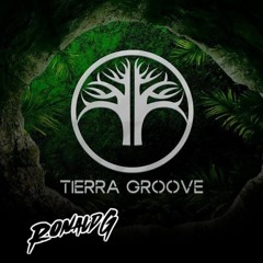 set teirra grove