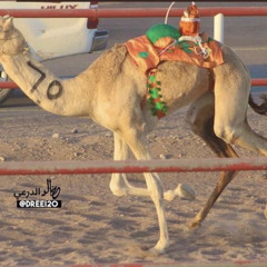 سيوف - مسفر السندوانه