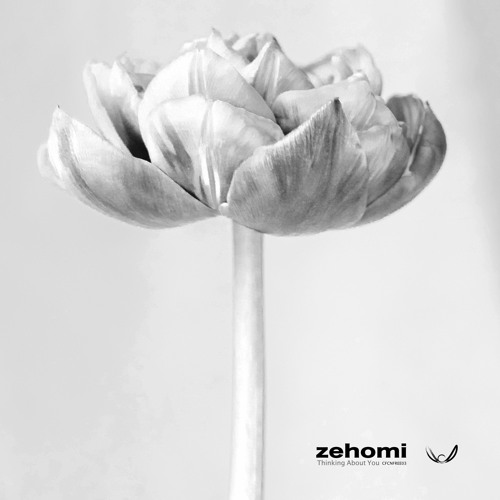 zehomi - Thinking About You (CFCNFREE03) FREE DOWNLOAD
