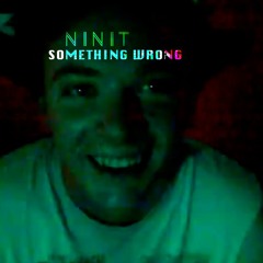 Something Wrong - Zombie Loveboat (NINIT's Run For Cover)