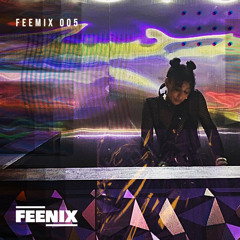 FEEMIX05