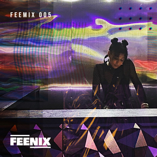 FEEMIX05