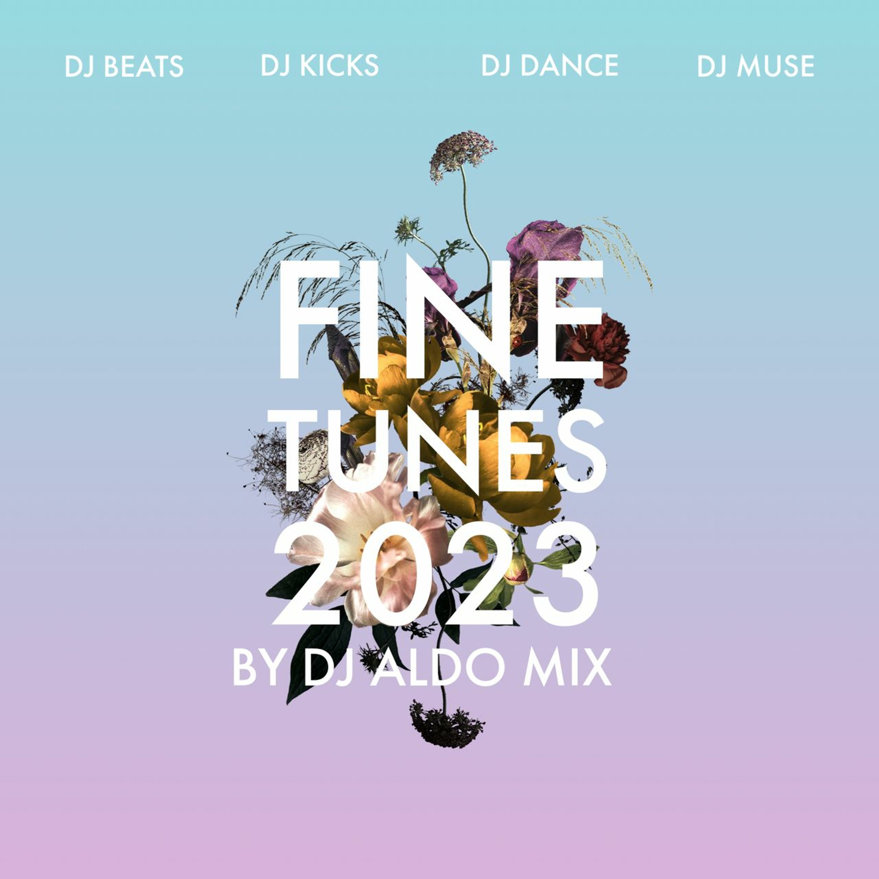 DJ Aldo Mix