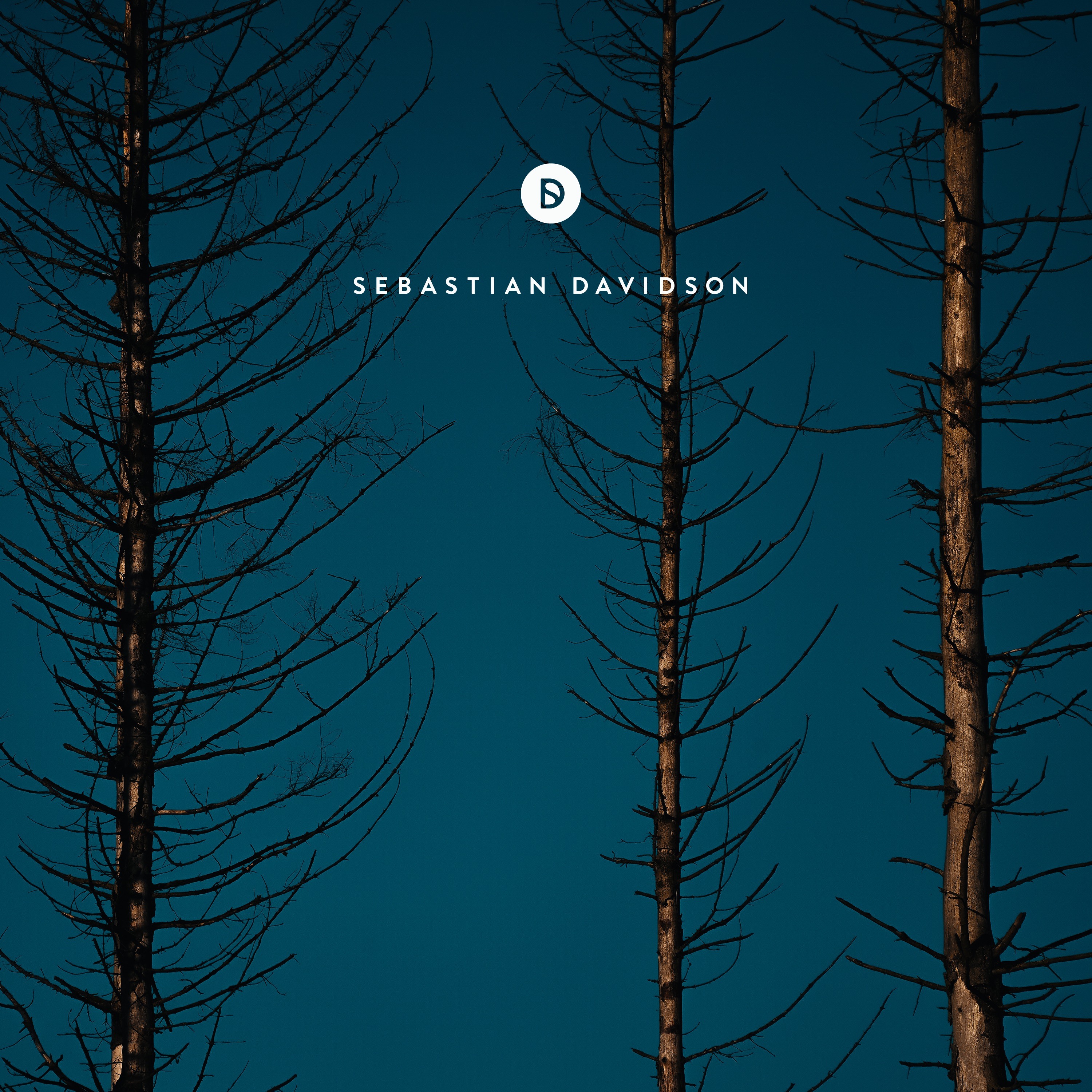 Voyage of Discovery by Sebastian Davidson