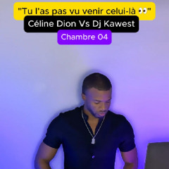 🔥 Ce mashup n’a aucun sens… et pourtant ! (Céline Dion x DJ Kawest)