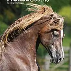 DOWNLOAD ⚡️ eBook Horse Lovers 2022 6 x 7.75 Inch Spiral-Bound Wire-O Weekly Engagement Planner Cale