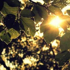 Mt eden - Still Alive (Electus remix).mp3