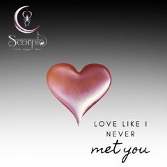 Love Like I Never Met You