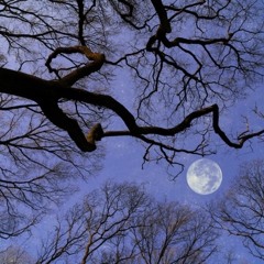 Moonlight