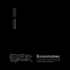 REINCARNATION ↡ LOOPKIT