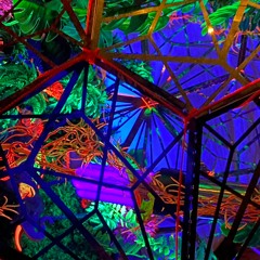 Lost in sound Bush techno mix LIVE 05.10.2025 Glen echo, Australia