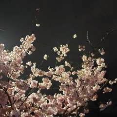 This Track Was Inspired By A Song Sophie Wrote On Ukelele & I Attempted To Make It A Full Band Ting