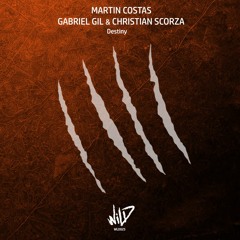 WLD025  - Martin Costas, Gabriel Gil, Christian Scora - Destiny [Wild]