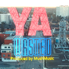 YA - Wasted