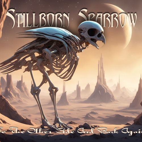 TO THE OTHER SIDE AND BACK AGAIN