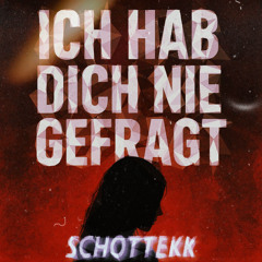 ICH HAB DICH NIE GEFRAGT RMX