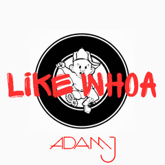 Adam J - Like Whoa