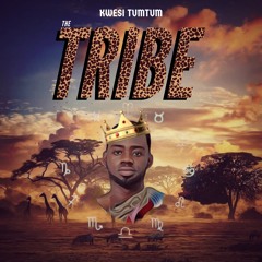 Bill Gates - Track 6 on The Tribe Album - Kwesi TumTum