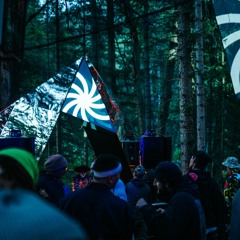 Cosmic Picnic(Magical Forest) 02.06.23 Mixed By Pluzhnik