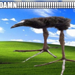 this took so much effort omg I spent 5 years on this (he will never branch out)