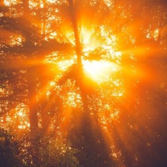 sunkissed
