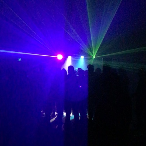 Eclectic Zoo Warehouse Chronicles Chapter 7