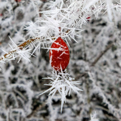 Some Kind of Something