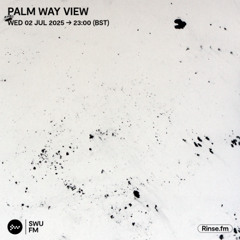 Palm Way View - 02 July 2025