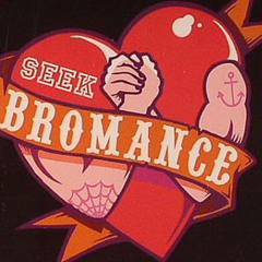 Avicii - Seek Bromance - TORSTEIN Remix