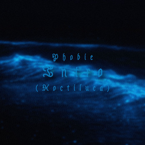 Intro (Noctiluca)