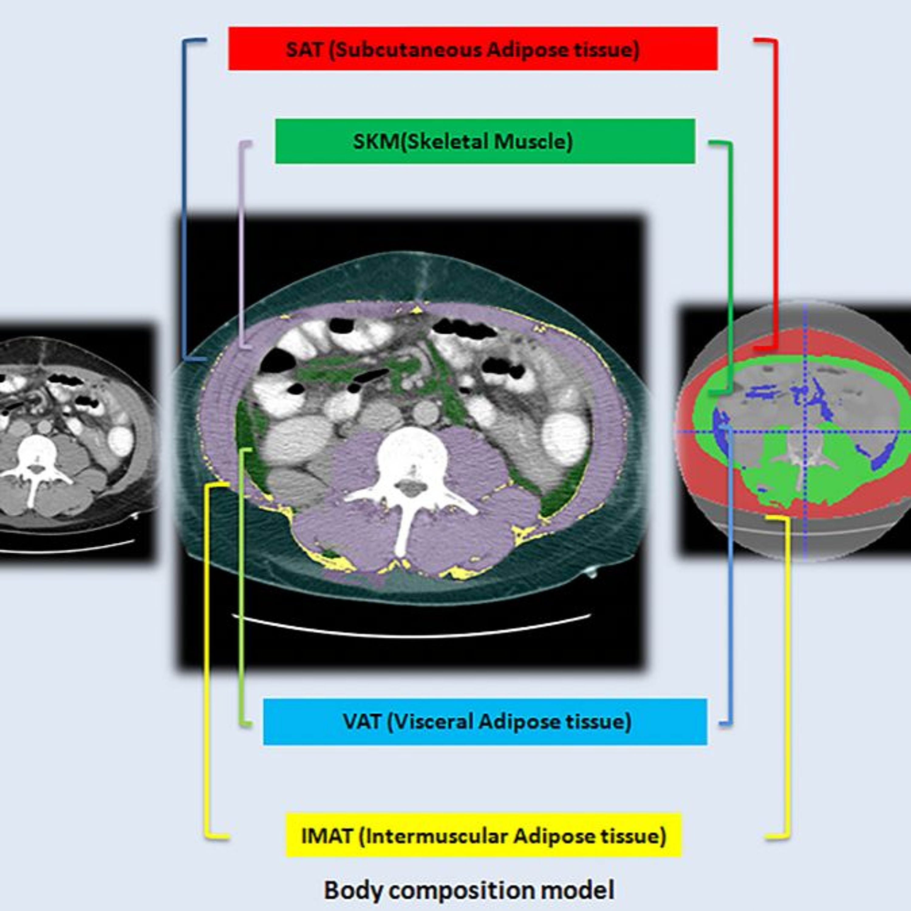 Oncotarget