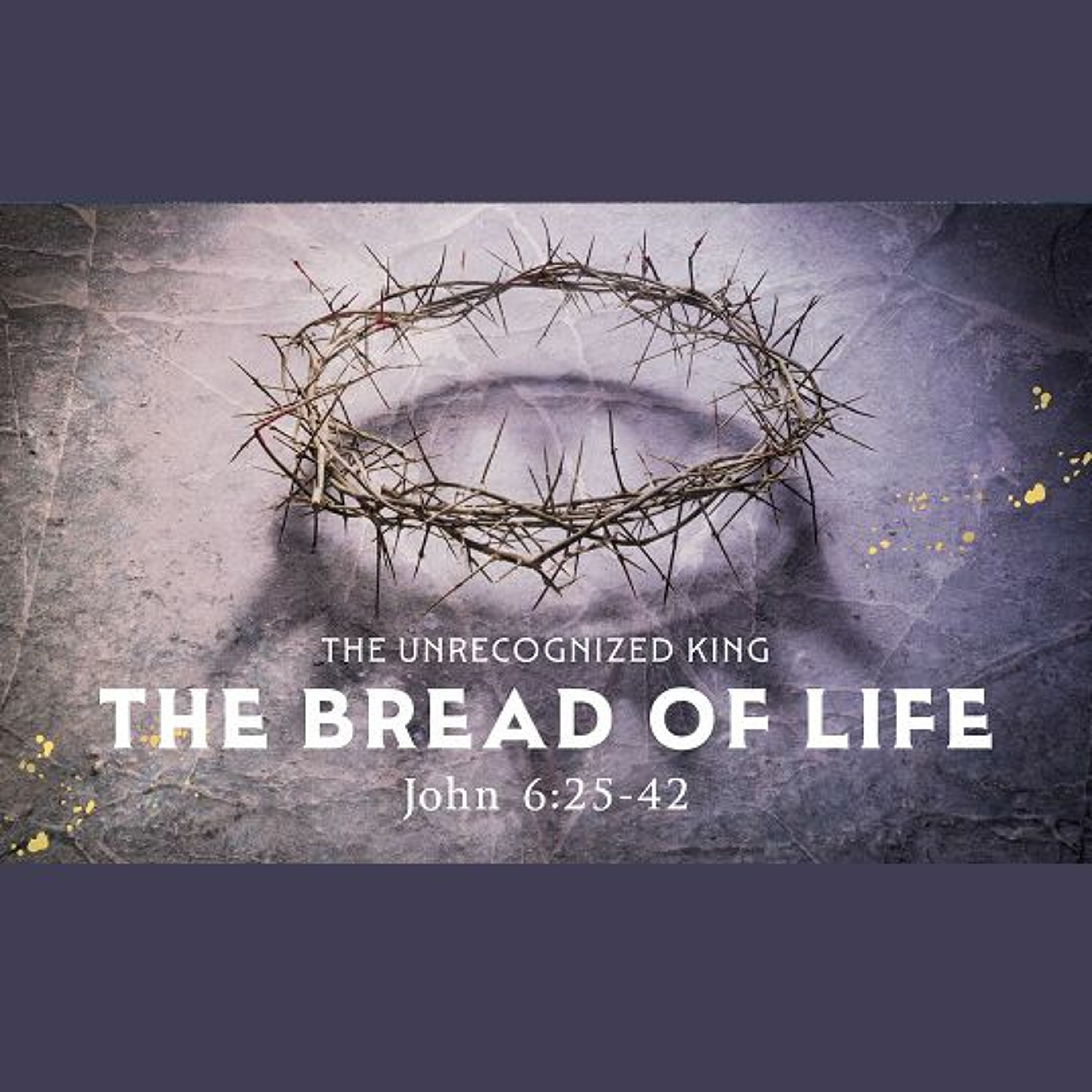 The Bread of Life, John 6:25-42 (Sermon) episode artwork