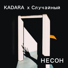 KADARA x Случайный - Несон