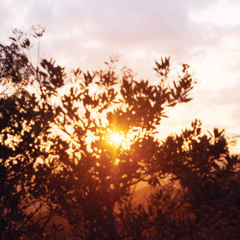 classic love (kv version)