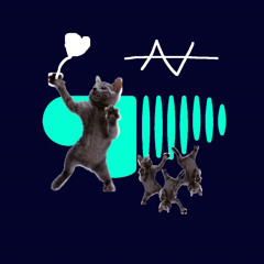 고양이랑춤주세요