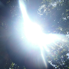 Yair Hai Fishman / IRL 0.1