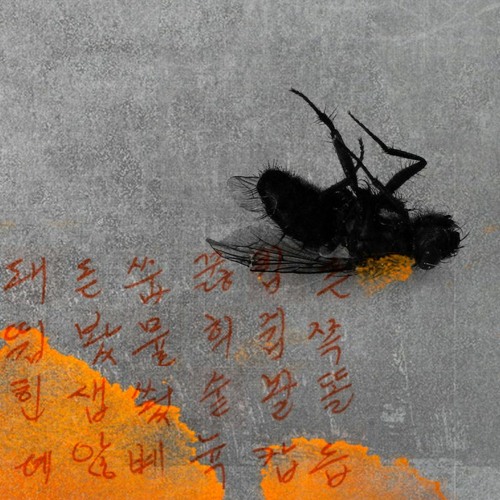 JtR | Film Score • Theophilus To Earth (Opening Sequence)