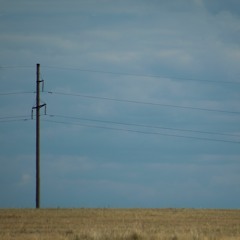 This Place Used To Be So Crowded