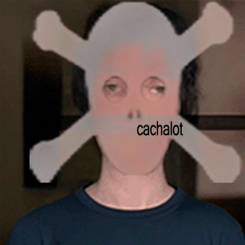ï