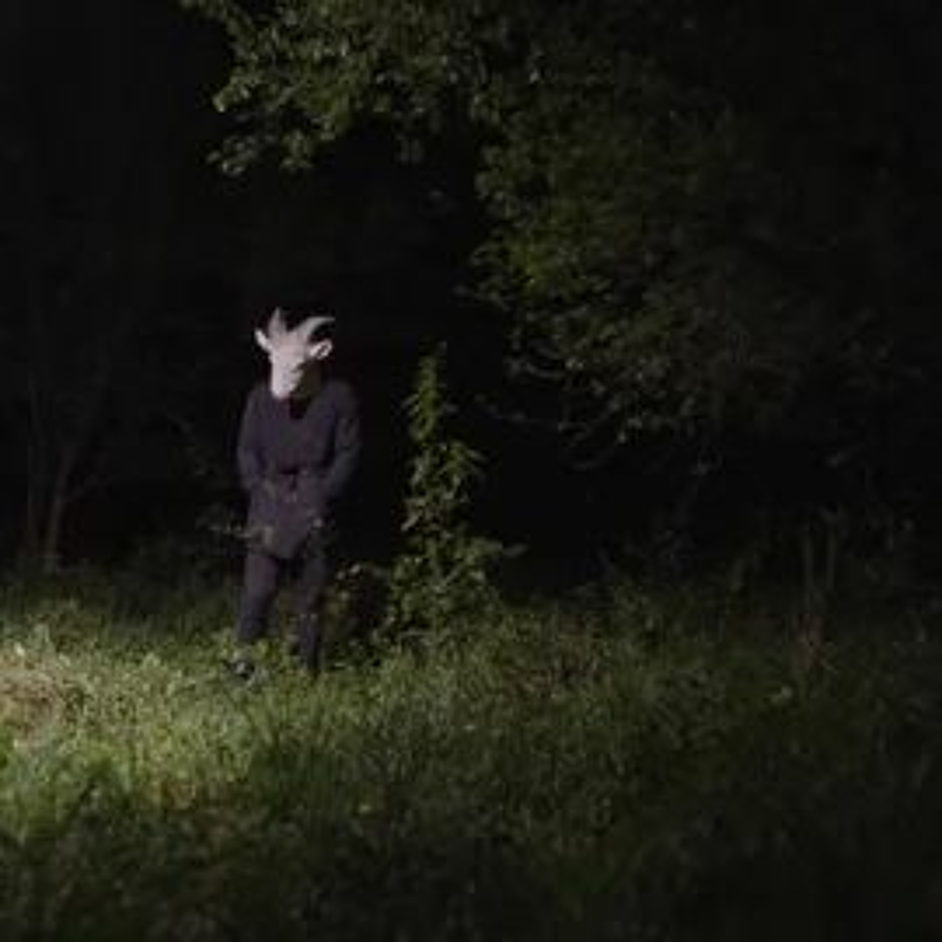 Insomnia episode artwork