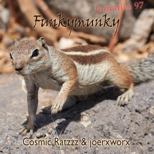 Lunatics 97 / Funkymunky / Cosmic Ratzzz & joerxworx