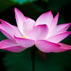 Jay Shri Ma
