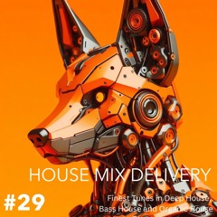 HOUSE MIX DELIVERY #29 - Deep House / Bass House / Organic House