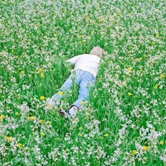 Porter Robinson - Wind Tempos [FlowerBoyDeMii Bootleg] (free DL)